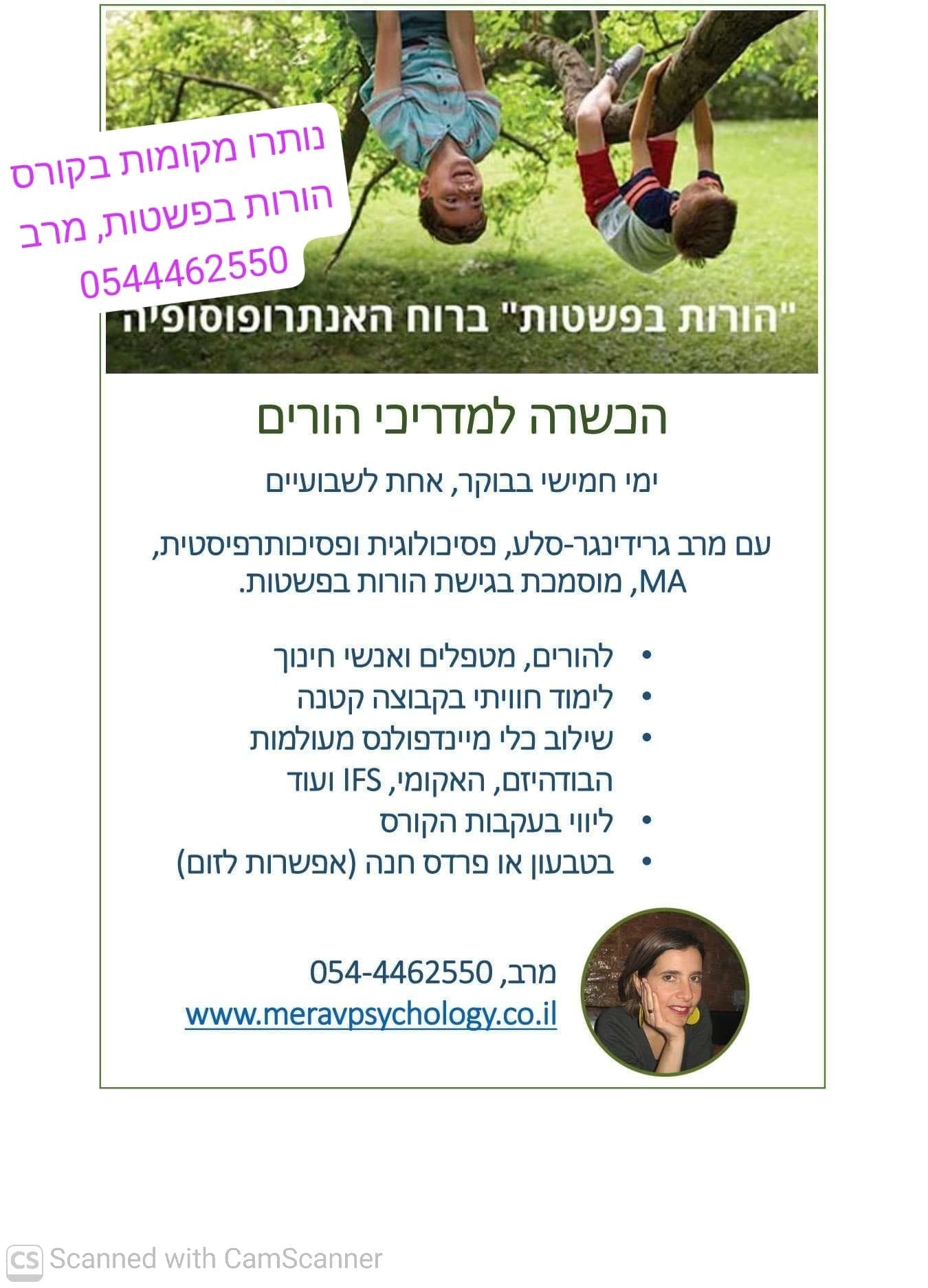 הכשרת מדריכי הורות בפשטות